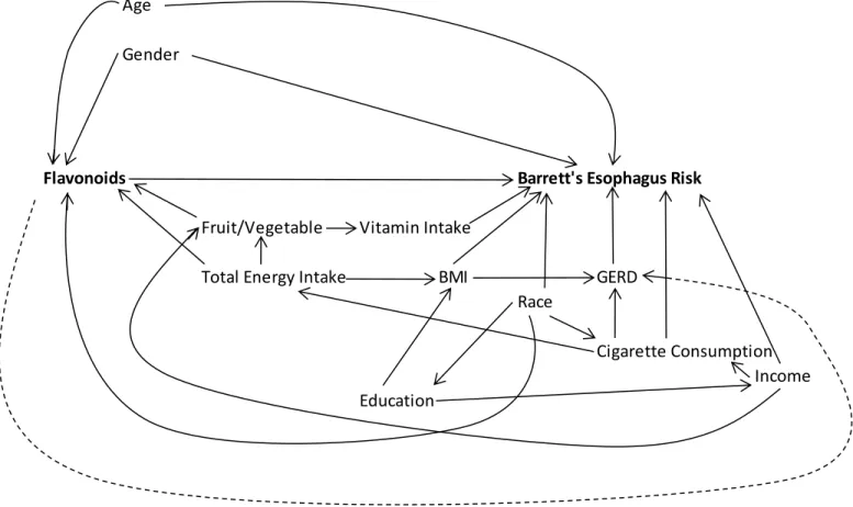 Figure 2.3. Directed Acyclic Graph (DAG) of Potential Confounders of the Association Between Dietary Flavonoid Intake and  Barrett’s Esophagus Development Risk