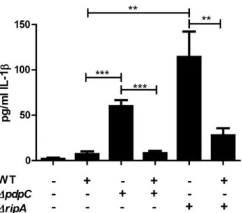 Figure 2.3: Functional trans-complementation via bead-bound bacteria complements  suppression of cytokine secretion