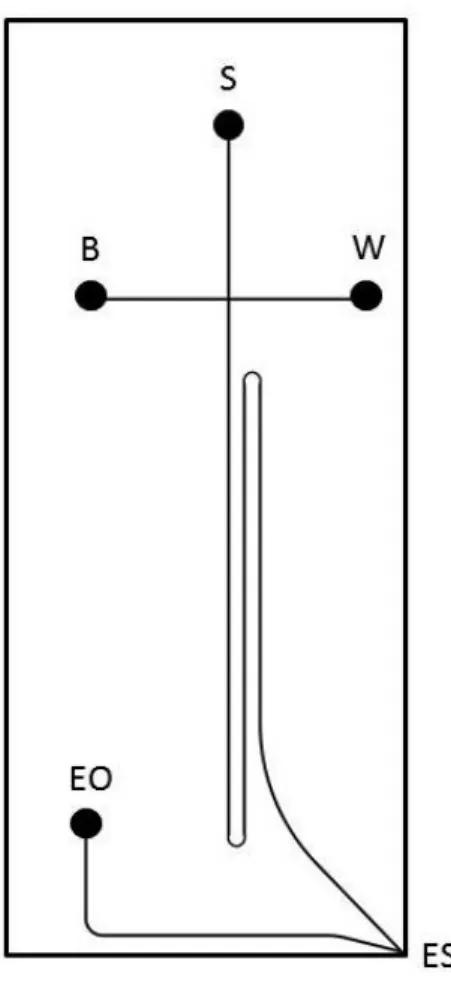 Figure 1.1 Schematic of integrated CE-ESI microchip. Reservoirs correspond to sample (S), BGE (B),  waste (W), and electroosmotic pump (EO)