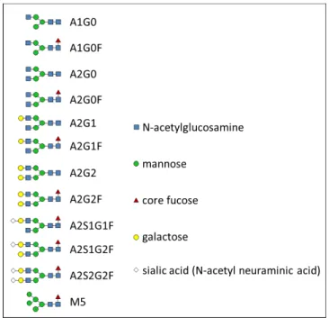 Figure 2.2. Structures of common N-linked glycans examined in this manuscript.   