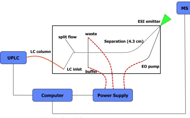Figure 2.3.  Schematic of the hybrid capillary LC-microchip CE-ESI experimental setup with a 4.3  cm long separation channel