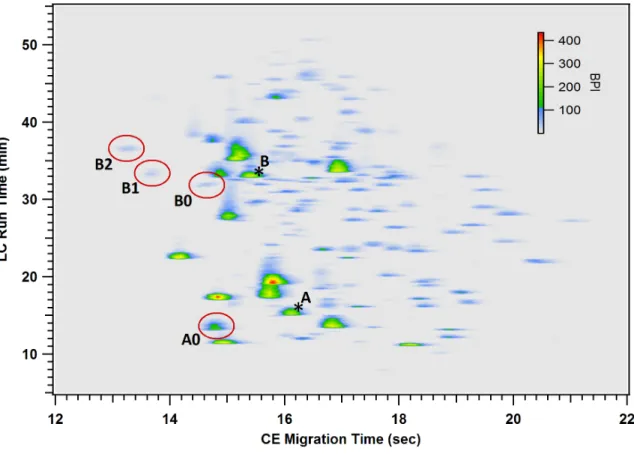 Figure  2.8.    Image  plot  for  the  LC-CE-MS  separation  of  a  digested  IgG2  containing  two  N-linked  glycosylation sites
