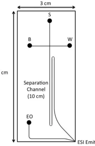 Figure  3.1.  Schematic  of  CE-ESI  Microchip.    The  reservoir  labels  correspond  to  sample  (S),  background  electrolyte  (B),  sample  waste  (W),  and  electroosmotic  pump  (EO)
