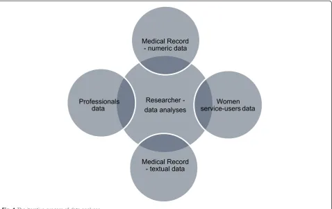 Fig. 1 The iterative process of data analyses