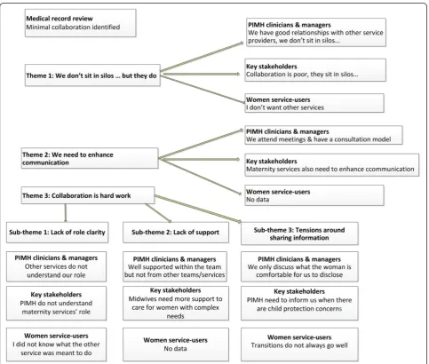 Fig. 2 Summary of themes, sub-themes and data sets