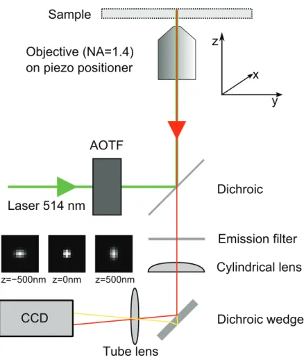 Figure 1.3: Schematic drawing of a 3D wide field fluorescence setup. An AOTF (Acousto-Optic Tunable Filter) is used to select the desired excitation wavelength