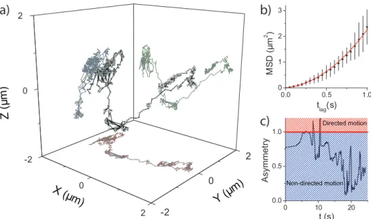 Figure 1.5: a) Trajectory of a QD loaded in to HEK293-cells obtained with a frame rate of 20 Hz for a total time of 25 s