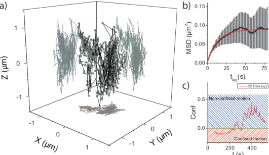 Figure 1.6: a) 3D trajectory of an endosome containing Dpp molecules labeled with Venus YFP [4]