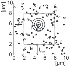 Figure 3.2: PICCS algorithm. For all YFP signals (solid circles) the number of CFP signals (open circles) are counted which fall into a circle of radius l from a YFP signal.