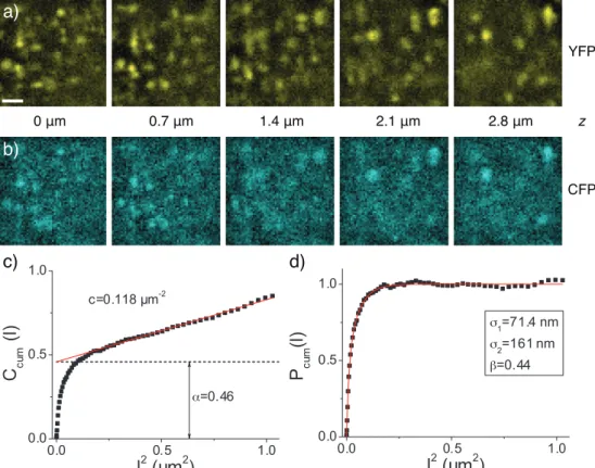 Figure 3.3: Correlation fraction, signal density and correlation length from experi- experi-mental data