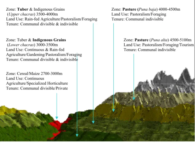 Figure 2.4:  Generalized altitudinal profile of land use and land tenure in Tupac Yupanqui  created from a cross-section of a 3-dimensional triangulated irregular network (TIN) of the study  site