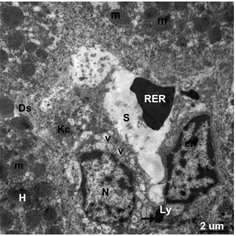 Table 1 hematology results from control animals and those treated with silver nanoparticles