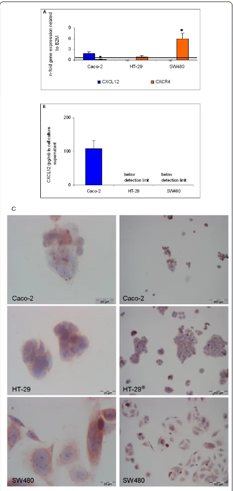 Figure 3 CXC12/CXCR4 expression in Caco-2, HT-29 and SW480cells as determined by (A) Q-RT-PCR for CXCL12 and CXCR4,(B) ELISA analysis for CXCL12 and (C) immunocytochemistry forCXCR4