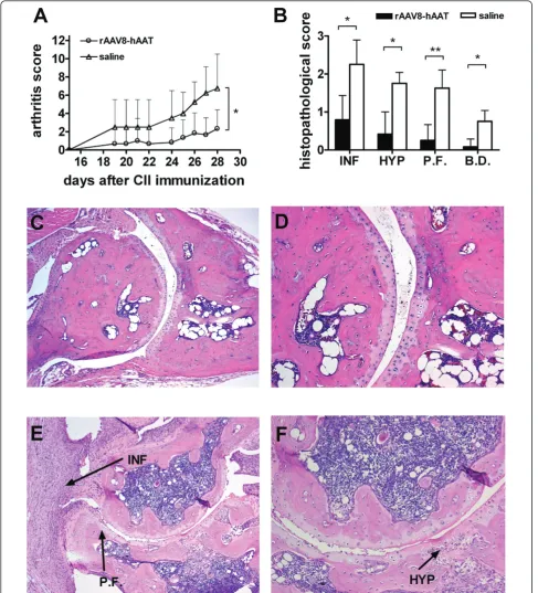Figure 4 Tissue protective effect of hAAT gene therapy in CIA mouse modelArthritis development was evaluated based on arthritis score (mean + SD)