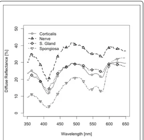 Figure 2 Non-standardized diffuse reflectance spectra fordifferent hard and soft tissues.