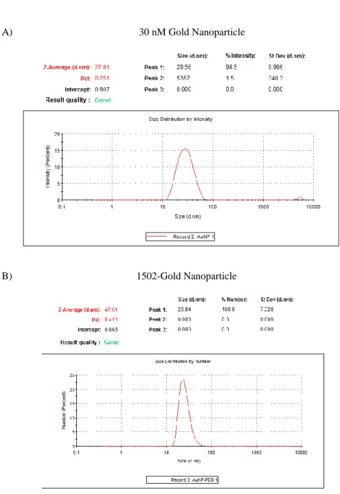 Figure 3.1 Gold nanoparticle size and polydisersity index of A) 30 nm gold nanoparticles and B) 1502-gold  nanoparticles measured with a Malvern Zeta Sizer