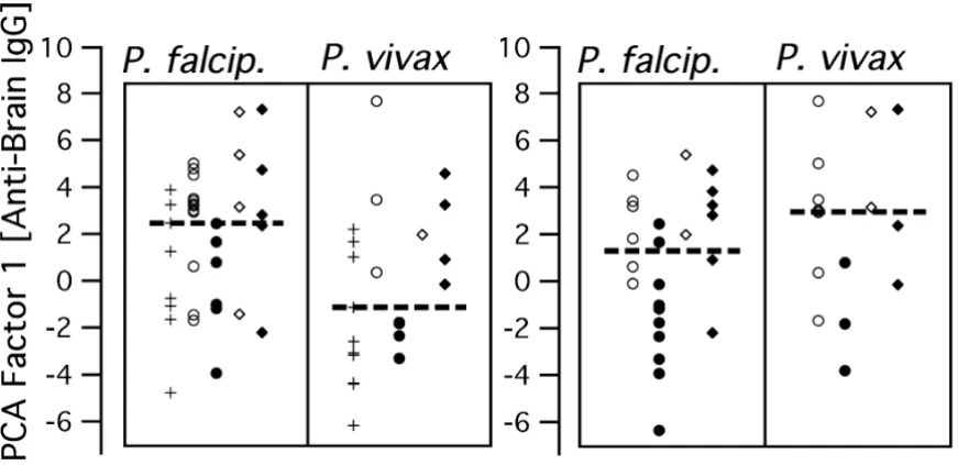 Figure 5Polyclonal IgG to brain proteins and Plasmodium species in previous and present infectionsPolyclonal IgG to brain proteins and Plasmodium species in previous and present infections
