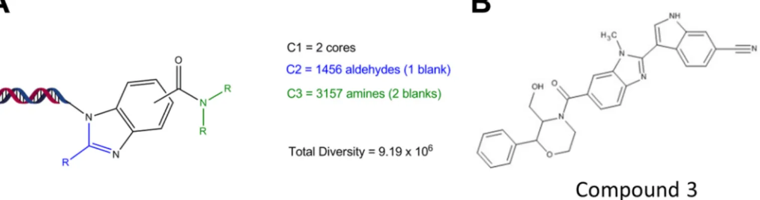 FIGURE 5. Co-crystal structure of compound 3 bound to PDE12. A, structure of compound 3 bound to the PDE12 catalytic domain construct, PDE12 (155– 609 ⌬206–233)