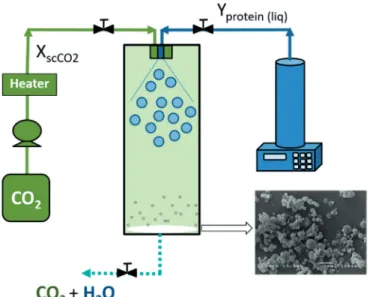 Fig. 2  Schematic set-up of the CO 2  spray dryers used in this study. P and  T are the abbreviations of pressure and temperature, while X scCO2