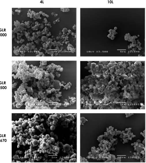 Fig. 3   Particle morphology of trehalose produced in the 4L (left panel) and the  10L (right panel) drying chambers