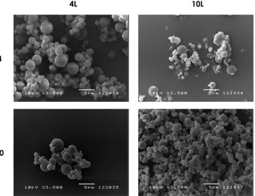 Fig. 4  Particle morphology of dried formulations of 1:4 and 1:10 of lysozyme and  trehalose  produced  in  the  4L  (left  panel)  and  10L  (right  panel)  drying  chambers with condition B and M (see Table 3) at GLR 5000.