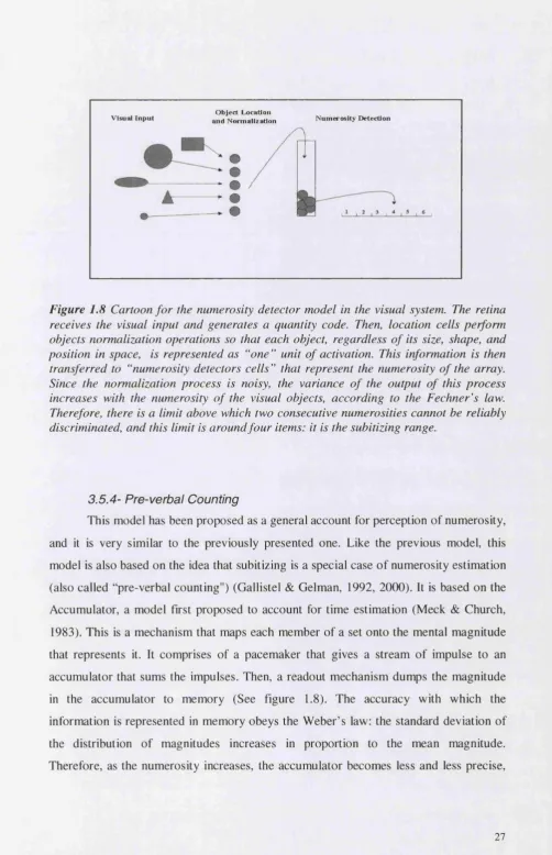 Figure 1.8 Cartoon for the numerosity detector model in the visual system. The retina 