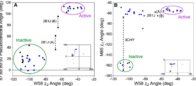 Figure 2.10. Comparison of dihedral angles in crystal structures of CheY. (A) Comparison of the  87:88:89:90 pseudodihedral angle with the rotation of W58 and (B) comparison of M85 χ 1  angle with  the rotation of W58