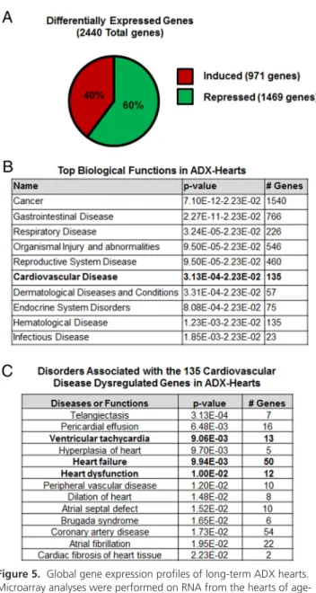 Figure 5. Global gene expression profiles of long-term ADX hearts.