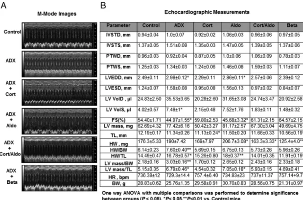 Figure 8. Hormone replacement effects on cardiac function in ADX mice. A, Representative M-mode images from age-matched intact (control), ADX, and corticosterone-ADX (cort, 25 ␮g/mL)-treated mice, aldosterone-ADX-treated mice (aldo, 0.3 ␮g/mL), corticoster
