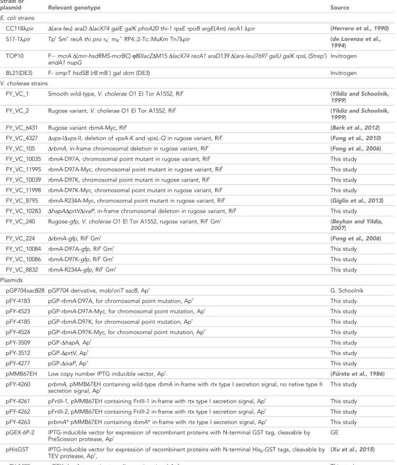Table 2. Bacterial strains and plasmids used in this study.
