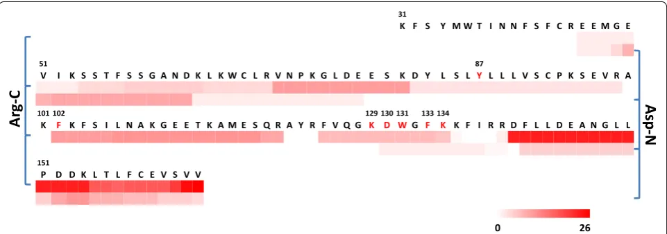 Fig. 1 Heat map of spectral counts of the peptides generated from recombinant SPOP protein MATH domain by Arg‑C and Asp‑N digestion