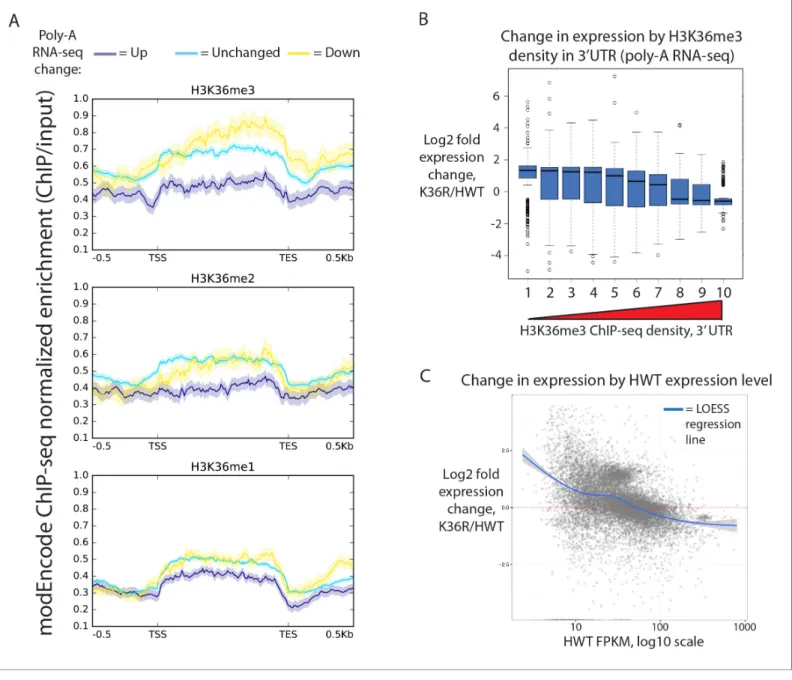 Figure supplement 1. Gene expression changes in H3K36R mutants.
