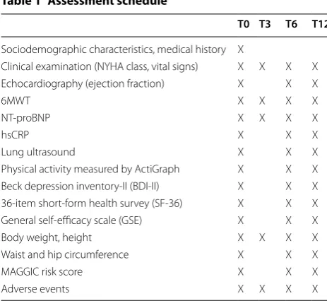 Table 1 Assessment schedule