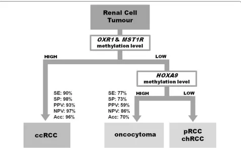 Fig. 3 Proposed algorithm for discriminating among renal cell tumours in tissue samples