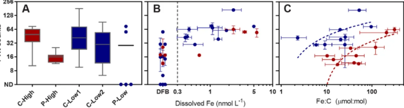 Figure 2.5 - Pseudo-nitzschia normalized ferritin (FTN) expression for all initial conditions and  incubations