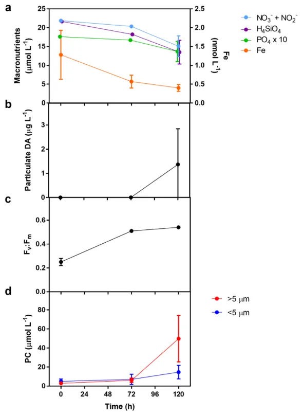 Figure A.6 - Additional measurements from the simulated upwelling incubation experiment: (A)  Dissolved macronutrient concentrations: nitrate + nitrite (NO 3 -  + NO 2 - ), silicic acid (H 4 SiO 4 ), phosphate  (PO 4 3- ), and iron (Fe)