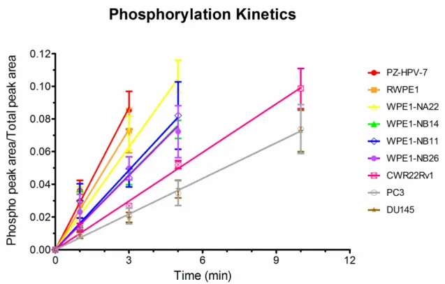 Figure 2.3  Phosphorylation kinetics of the Src substrate by prostate cell lysates. 