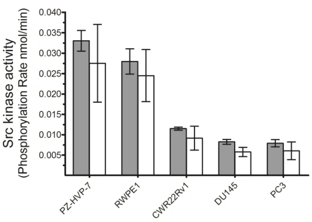 Figure  2.4    Src  kinase  activities  of  PZ-HPV-7,  RWPE1,  CWR22Rv1,  DU145  and  PC3 prostate cell lines