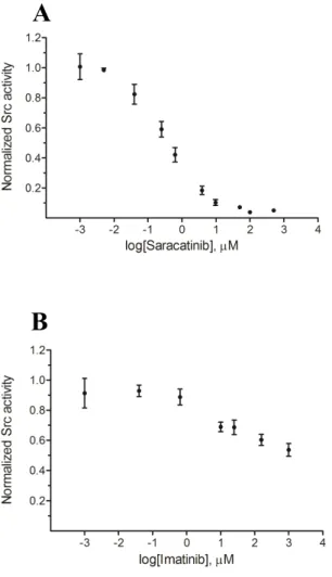 Figure 2.6  Src activity in DU145 lysates as a function of inhibitor concentration. 