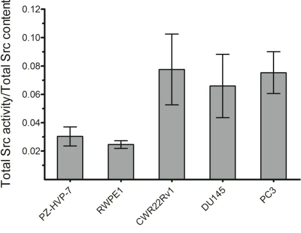 Figure  2.8   Fractional  Src  kinase  activity  in  PZ-HVP-7,  RWPE1,  DU145,  PC3  and  CWR22Rv1 prostate cell lines