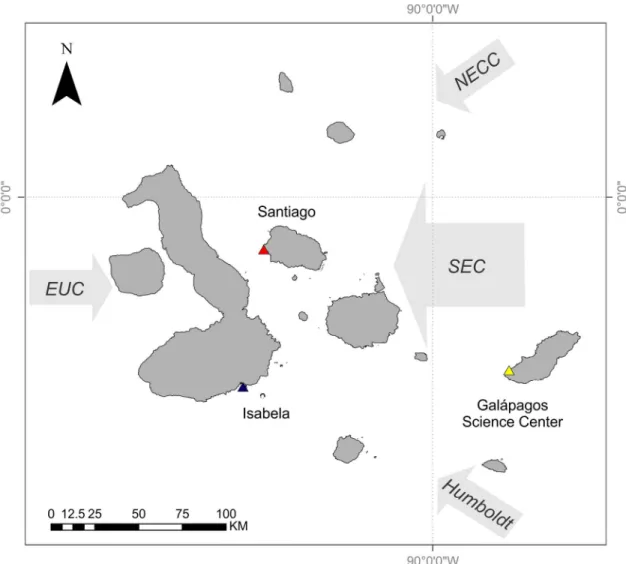 Figure 1.1 Map of Galapagos Archipelago and the surrounding currents.  