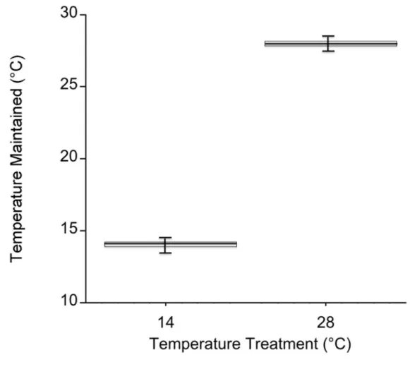 Figure 1.3 Mesocosm temperature values during both experiments. 