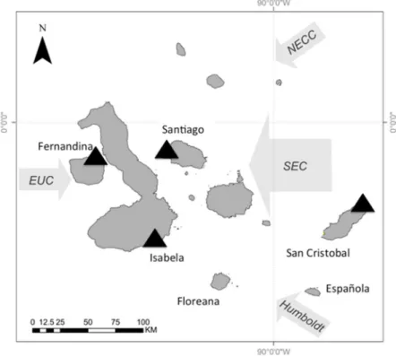 Figure 2.1. Map of the Galápagos Islands and the surrounding currents.   