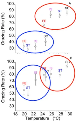 Figure 2.2. Temperature effects on A) urchin and B) mobile and benthic herbivore  consumption of Ulva