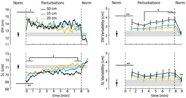Fig. 2 Mean (standard error) perturbation-induced effects on step width (SW), step length  (SL), step width variability (SWV), and step length variability (SLV) for each perturbation  amplitude