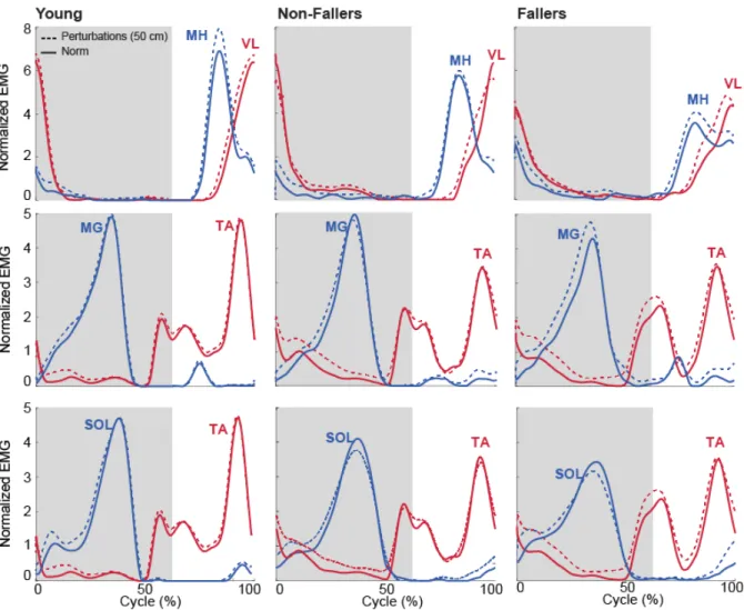 Figure 4. Normalized EMG linear envelopes for normal  and perturbed walking. MH/VL  coactivation on the top panel, MG/TA coactivation in the middle and SOL/TA on the bottom