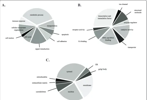 Figure 3 Pie chart representing the characterization of identified phosphoproteins according to (A) biological processes, (B) molecularfunctions and (C) cellular localization.