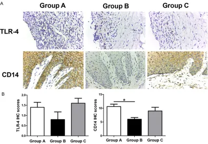 Figure 1. Histological changes in gingival tissues of rhesus macaques determined by HE staining (Original magnifi-cation, × 100)