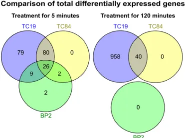 Fig. 3. Venn diagrams depicting the numbers of shared diﬀerentially expressed genes in response to TC19, TC84 and BP2.