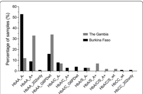 Fig. 2 Summary of positive genotyping results of samples from correspond to the 202A and 376G alleles (Aalleles (A376A alleles (G6PDwt, wild type)